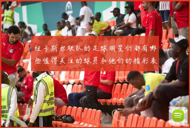 纽卡斯尔联队的足球明星们都有哪些值得关注的球员和他们的精彩表现