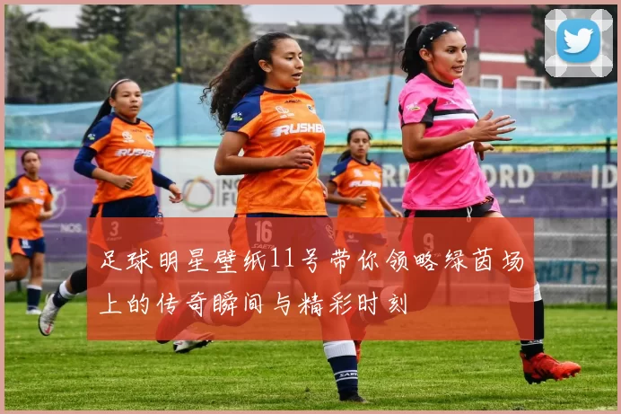足球明星壁纸11号带你领略绿茵场上的传奇瞬间与精彩时刻