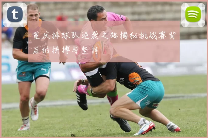 重庆排球队逆袭之路揭秘挑战赛背后的拼搏与坚持