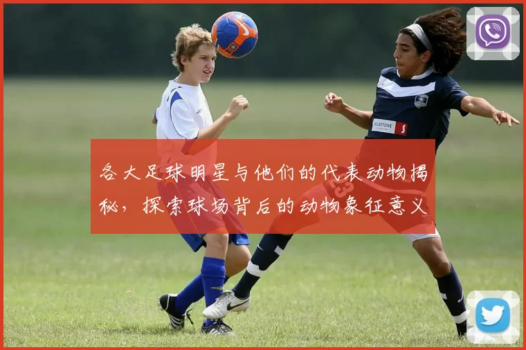 各大足球明星与他们的代表动物揭秘，探索球场背后的动物象征意义