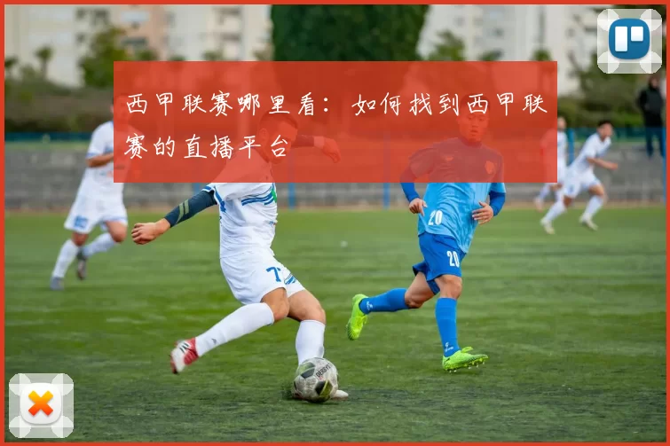 西甲联赛哪里看：如何找到西甲联赛的直播平台