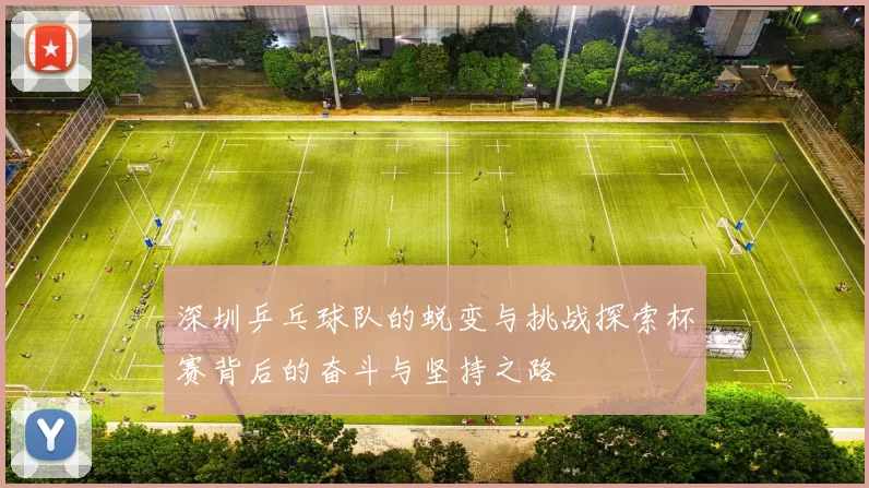 深圳乒乓球队的蜕变与挑战探索杯赛背后的奋斗与坚持之路
