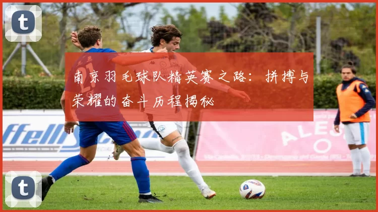 南京羽毛球队精英赛之路：拼搏与荣耀的奋斗历程揭秘
