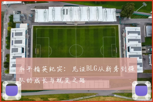和平精英纪实：见证BLG从新秀到强队的成长与蜕变之路