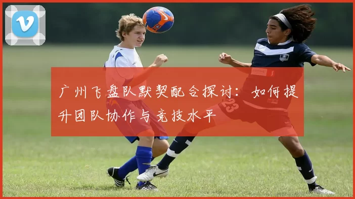 广州飞盘队默契配合探讨：如何提升团队协作与竞技水平