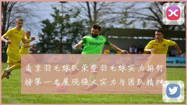 南京羽毛球队荣登羽毛球实力排行榜第一名展现强大实力与团队精神