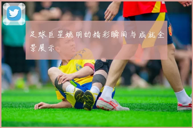 足球巨星姚明的精彩瞬间与成就全景展示