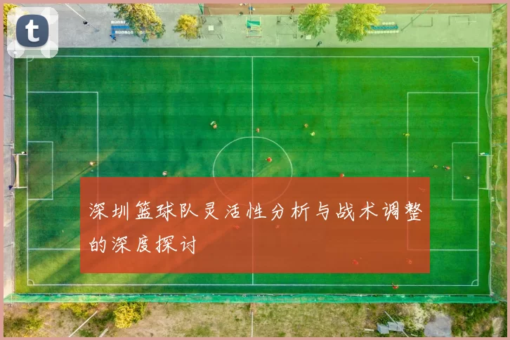 深圳篮球队灵活性分析与战术调整的深度探讨
