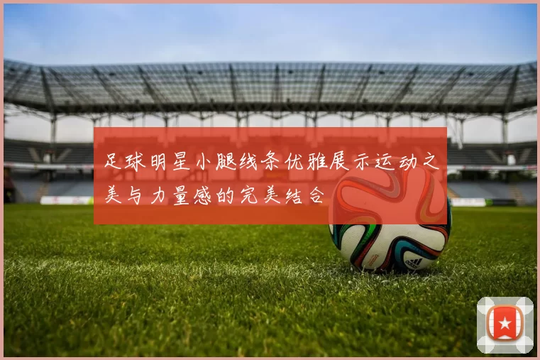 足球明星小腿线条优雅展示运动之美与力量感的完美结合