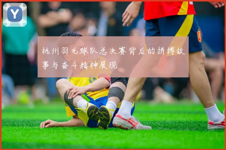 杭州羽毛球队总决赛背后的拼搏故事与奋斗精神展现