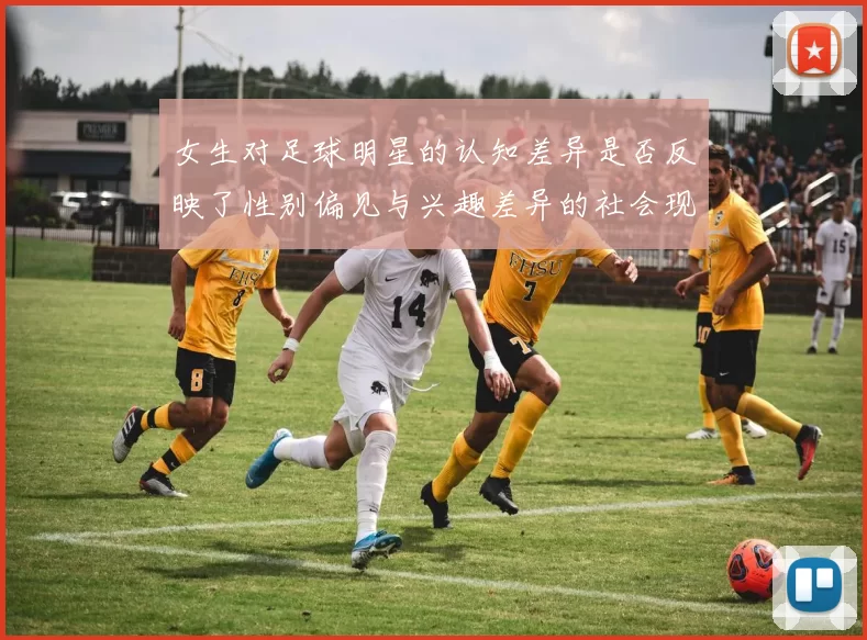 女生对足球明星的认知差异是否反映了性别偏见与兴趣差异的社会现象
