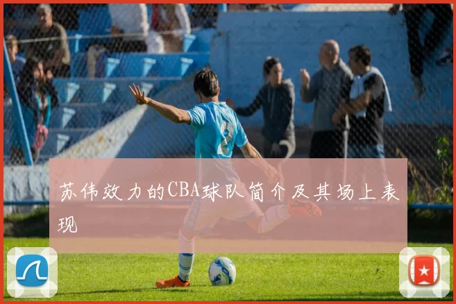 苏伟效力的CBA球队简介及其场上表现