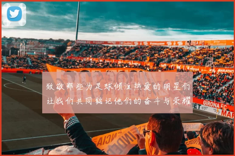 致敬那些为足球倾注热爱的明星们让我们共同铭记他们的奋斗与荣耀