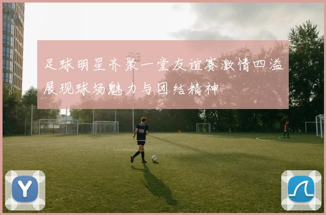 足球明星齐聚一堂友谊赛激情四溢展现球场魅力与团结精神