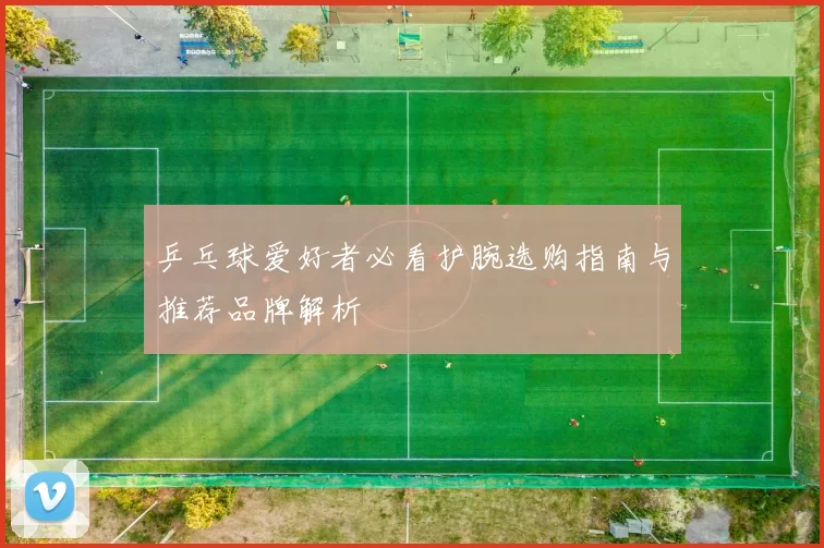 乒乓球爱好者必看护腕选购指南与推荐品牌解析