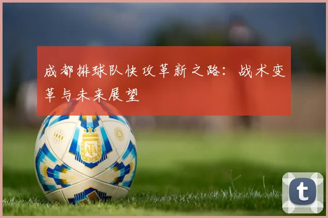 成都排球队快攻革新之路：战术变革与未来展望