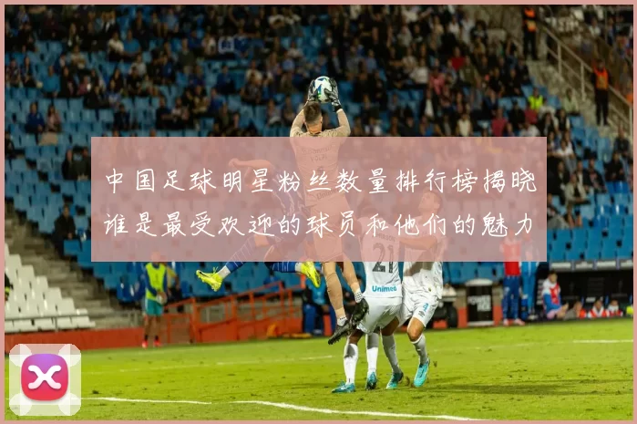 中国足球明星粉丝数量排行榜揭晓谁是最受欢迎的球员和他们的魅力所在