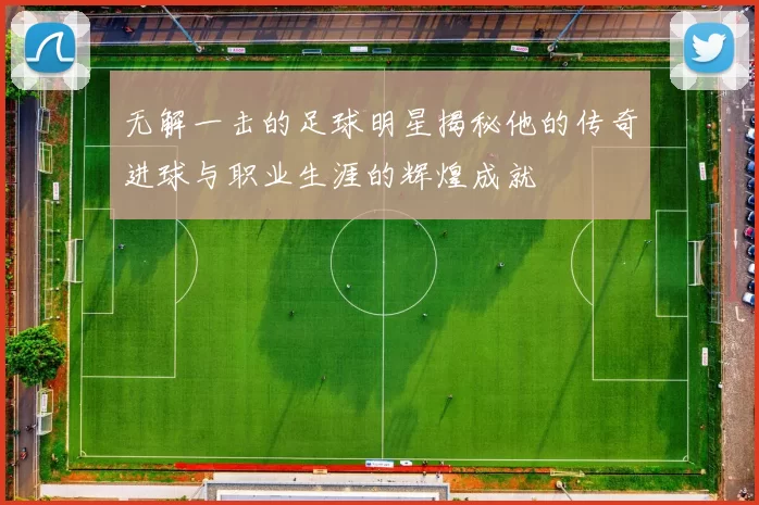 无解一击的足球明星揭秘他的传奇进球与职业生涯的辉煌成就