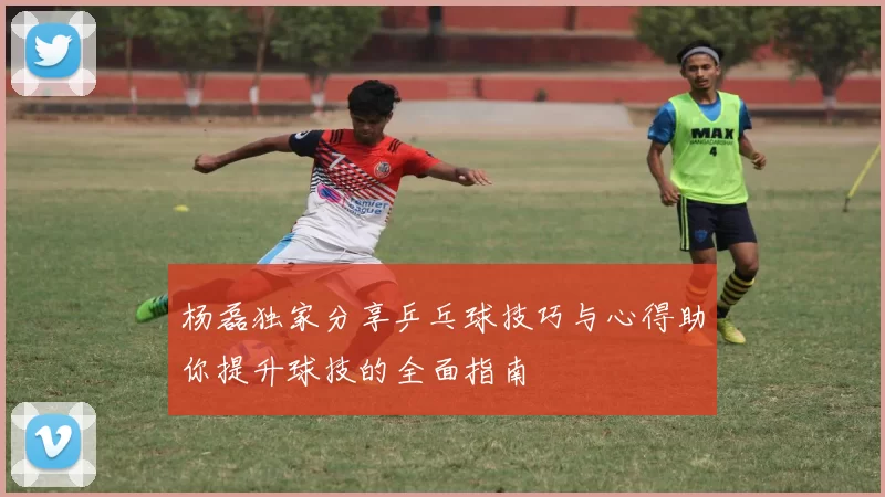 杨磊独家分享乒乓球技巧与心得助你提升球技的全面指南
