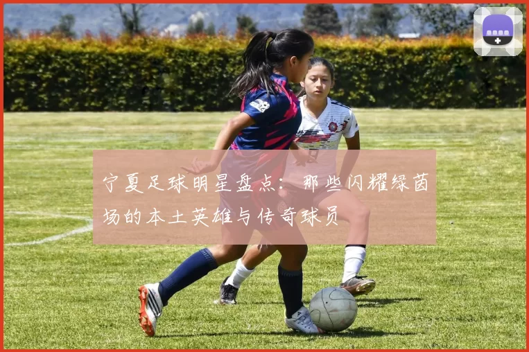 宁夏足球明星盘点：那些闪耀绿茵场的本土英雄与传奇球员