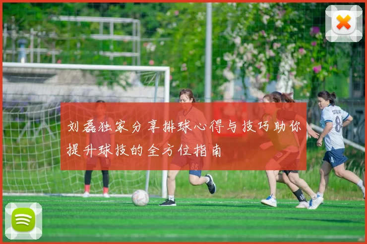刘磊独家分享排球心得与技巧助你提升球技的全方位指南