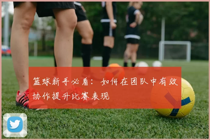 篮球新手必看：如何在团队中有效协作提升比赛表现