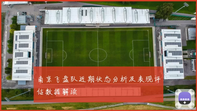 南京飞盘队近期状态分析及表现评估数据解读
