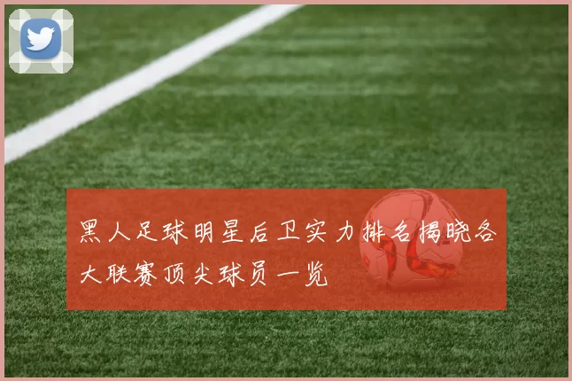 黑人足球明星后卫实力排名揭晓各大联赛顶尖球员一览