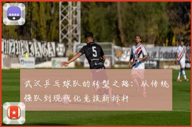 武汉乒乓球队的转型之路：从传统强队到现代化竞技新标杆