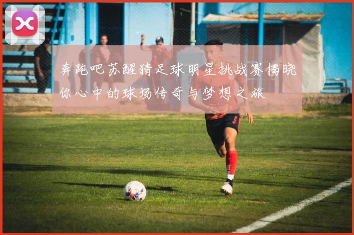 奔跑吧苏醒猜足球明星挑战赛揭晓你心中的球场传奇与梦想之旅
