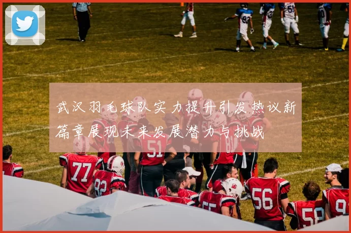 武汉羽毛球队实力提升引发热议新篇章展现未来发展潜力与挑战