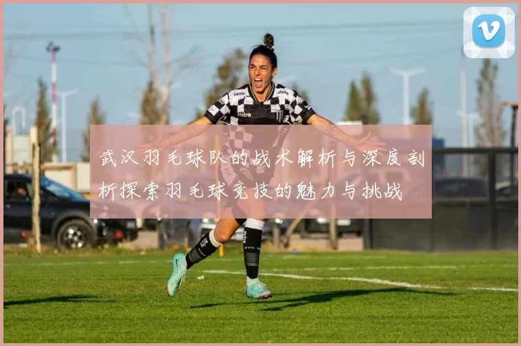 武汉羽毛球队的战术解析与深度剖析探索羽毛球竞技的魅力与挑战