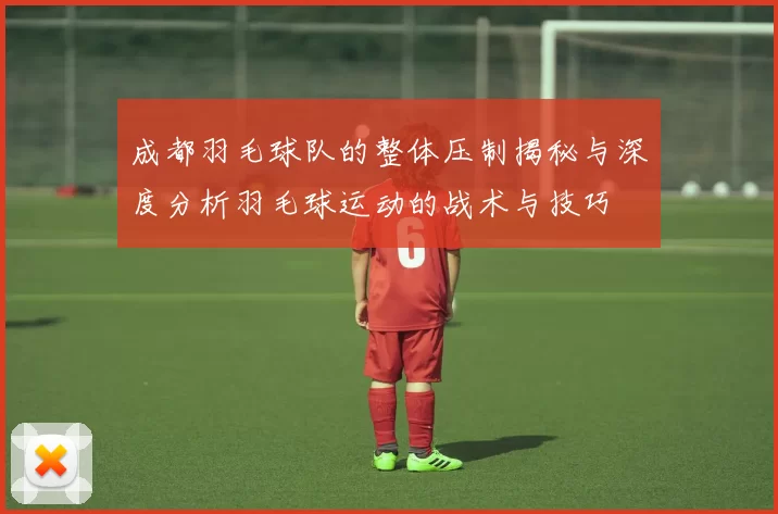 成都羽毛球队的整体压制揭秘与深度分析羽毛球运动的战术与技巧