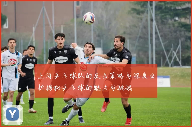 上海乒乓球队的反击策略与深度分析揭秘乒乓球的魅力与挑战