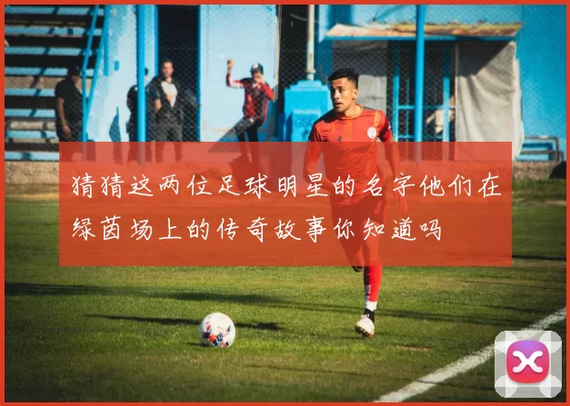 猜猜这两位足球明星的名字他们在绿茵场上的传奇故事你知道吗