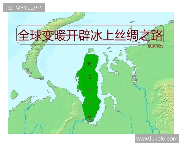 亚马尔地区自然资源开发与气候变化对全球能源市场的影响分析