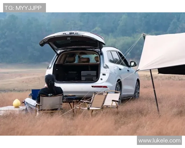 智能汽车租赁服务打造便捷出行新体验引领绿色环保出行新风潮