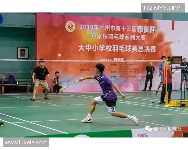 羽毛球精神:北京羽毛球队拼搏历程的真实记录与感悟 羽毛球精神:北京羽毛球队拼搏历程的真实记录与感悟